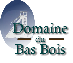 Logo Domaine du Bas Bois – traiteur Soumagne